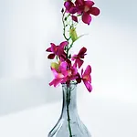 Modernes Fuer Zwei Personen Mit Parkplatz 아파트 *