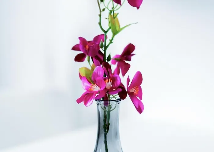 Modernes Fuer Zwei Personen Mit Parkplatz شقة *